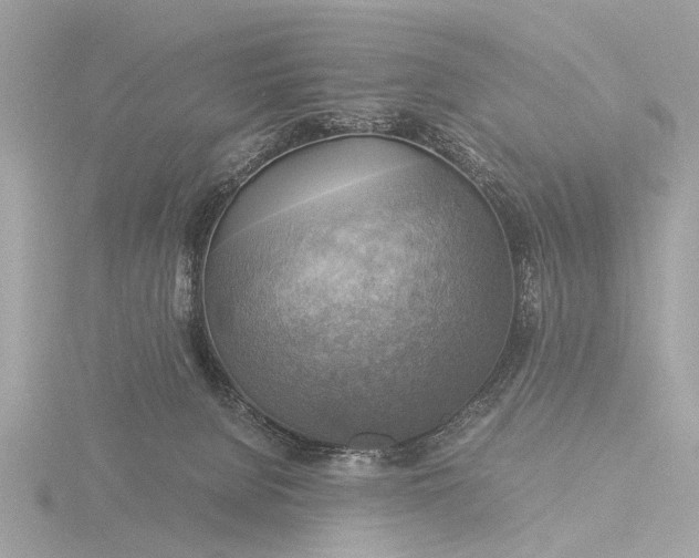 X0000116440080200912221533
