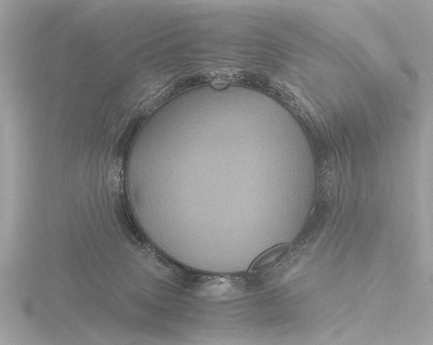 X0000116440083200912221533