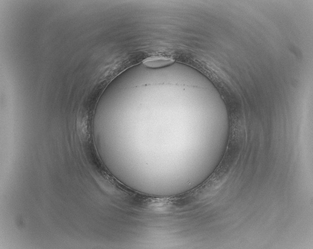 X0000116440088200912221533