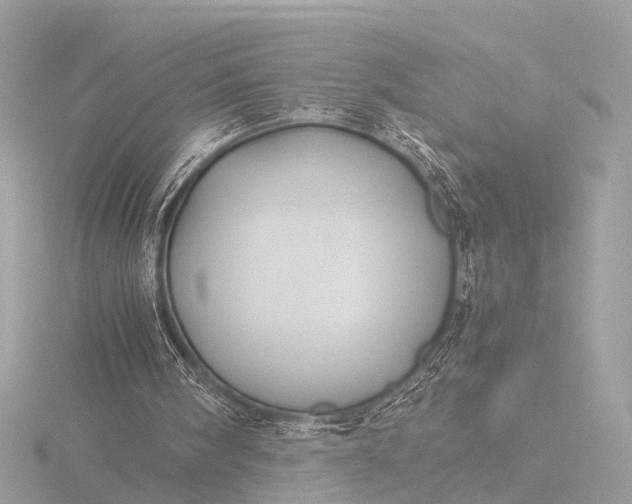 X0000116440098200912221532