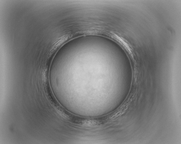 X0000116440105200912221532