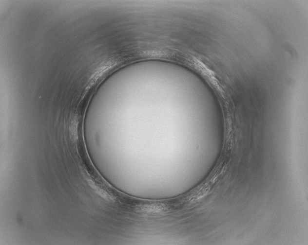 X0000116440106200912221532