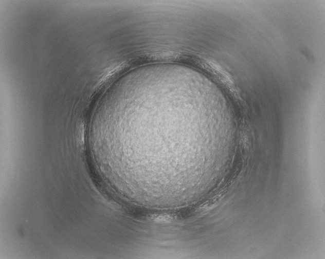 X0000116440115200912221532