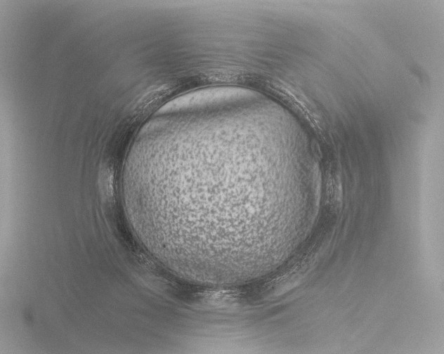 X0000116440117200912221532