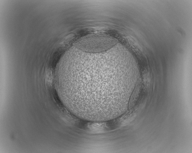 X0000116440129200912221532