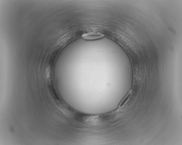 X0000116440132200912221532