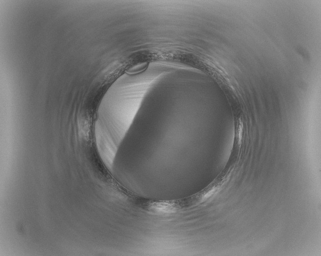 X0000116440139200912221532