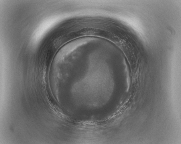 X0000116440146200912221531