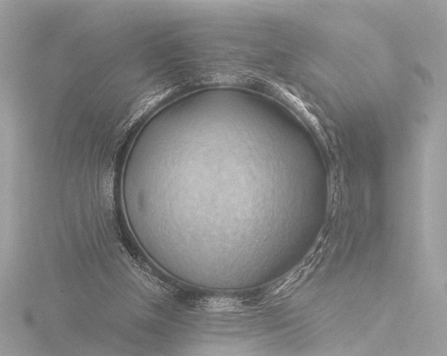 X0000116440154200912221531