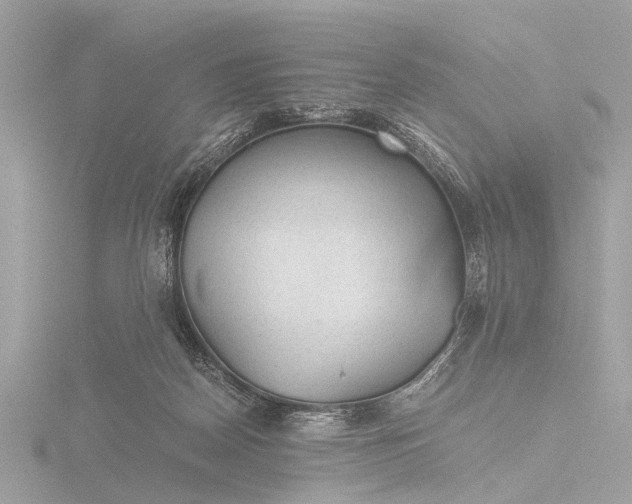 X0000116440170200912221532