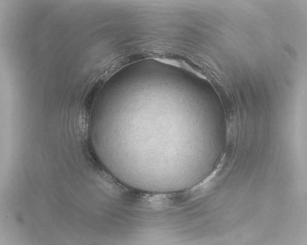 X0000116440186200912221532