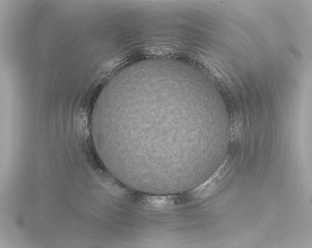 X0000116440187200912221532