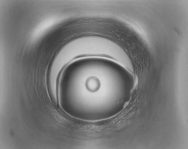 X0000116440195200912221531