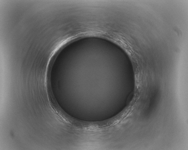 X0000116440196200912221531