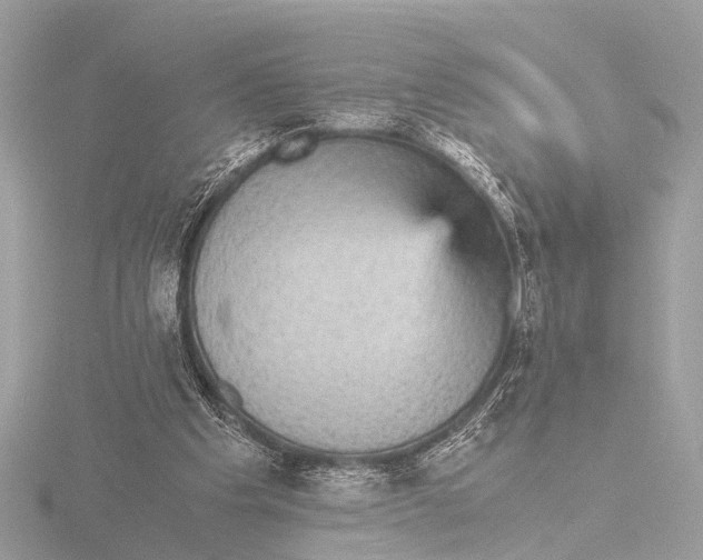 X0000116440201200912221531
