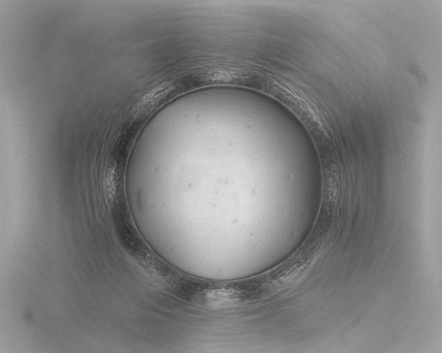 X0000116440216200912221531