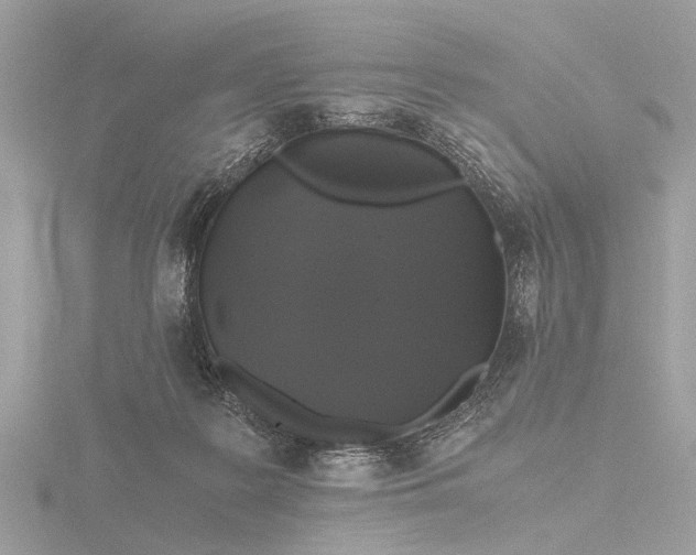 X0000116440219200912221531