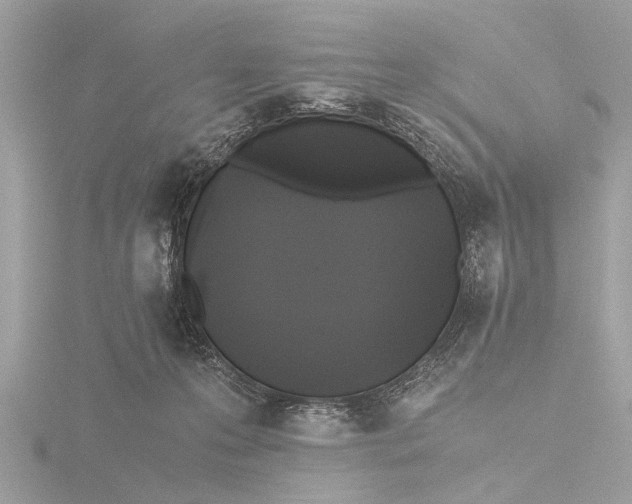 X0000116440223200912221531