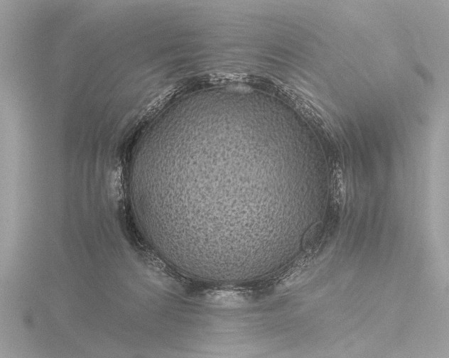 X0000116440224200912221531
