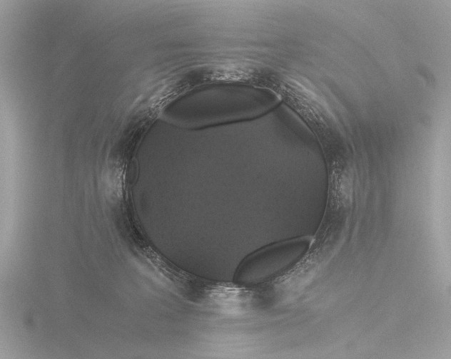 X0000116440227200912221531
