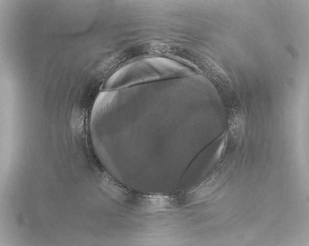 X0000116440233200912221531