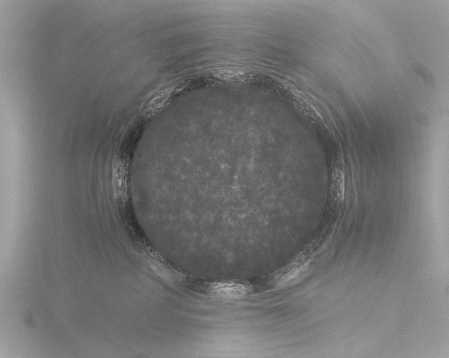 X0000116440234200912221531