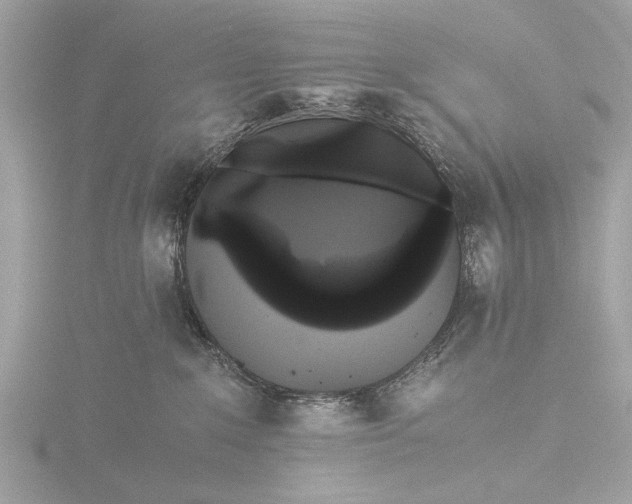X0000116440235200912221531