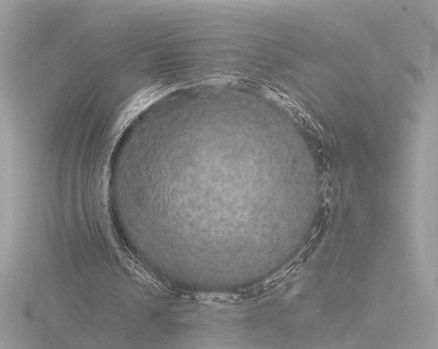 X0000116440242200912221530