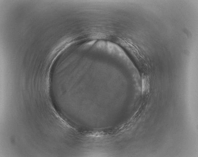 X0000116440243200912221530