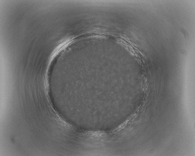 X0000116440245200912221530