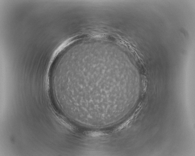 X0000116440246200912221530