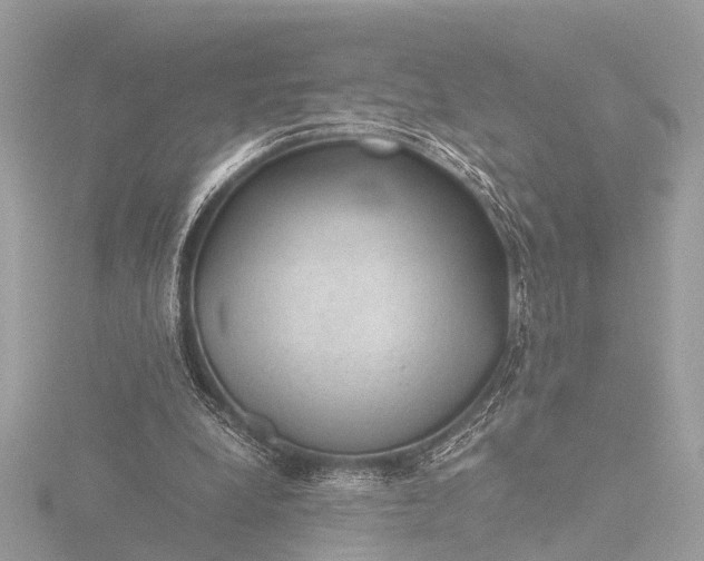 X0000116440248200912221530