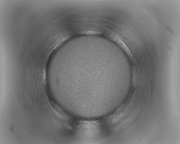 X0000116440251200912221530