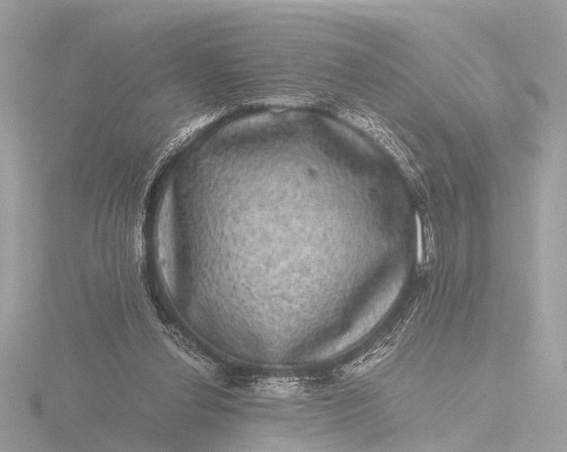 X0000116440252200912221530