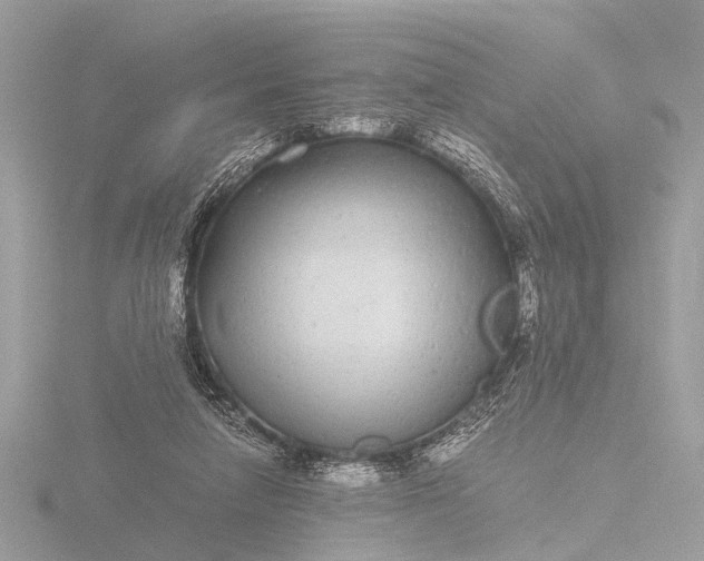 X0000116440258200912221530