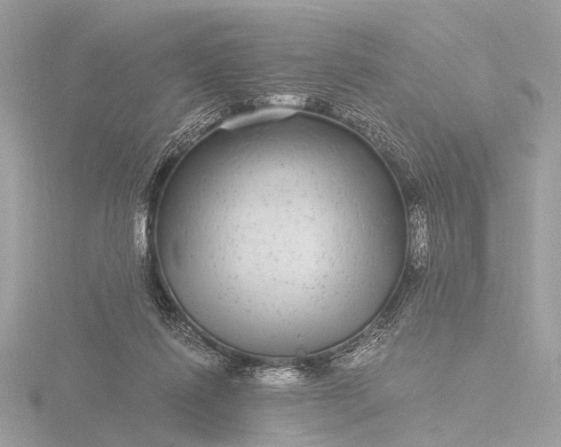 X0000116440262200912221530