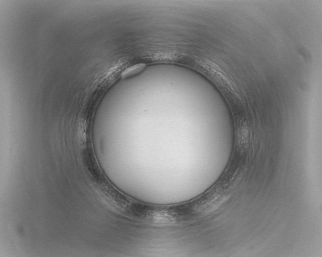 X0000116440264200912221530