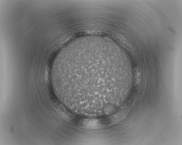 X0000116440266200912221530