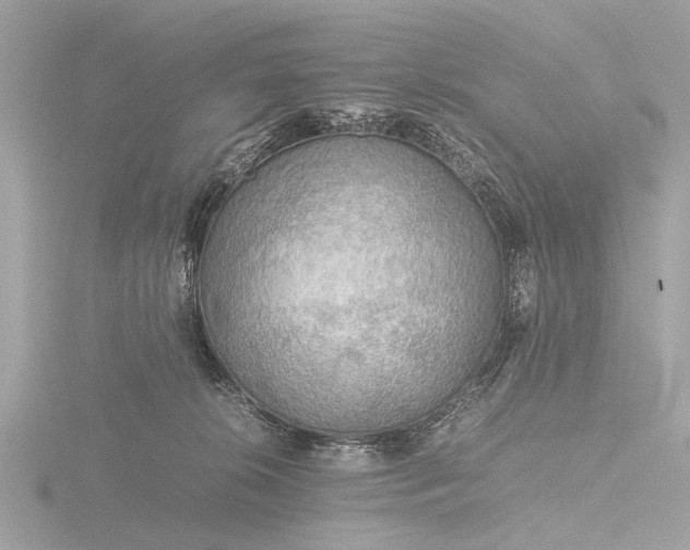 X0000116440276200912221530