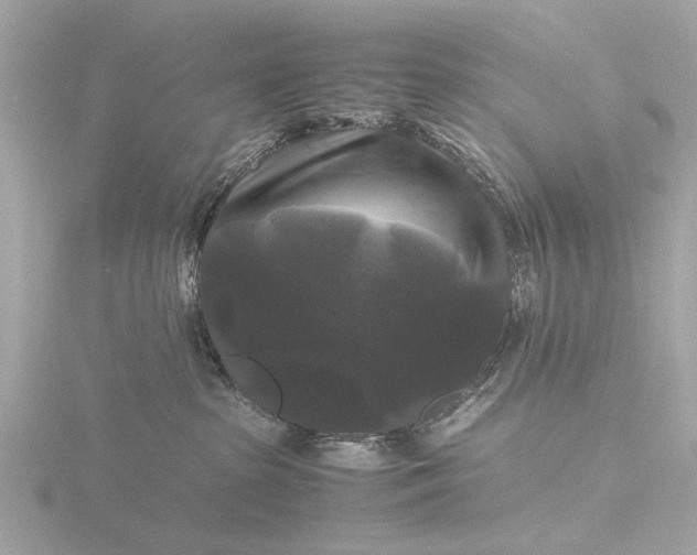 X0000116440285200912221531