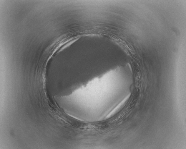 X0000116440290200912221530