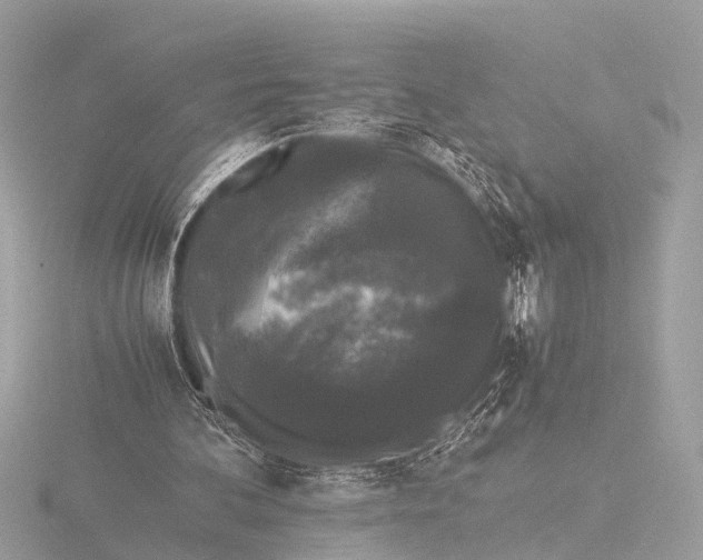 X0000116440292200912221530
