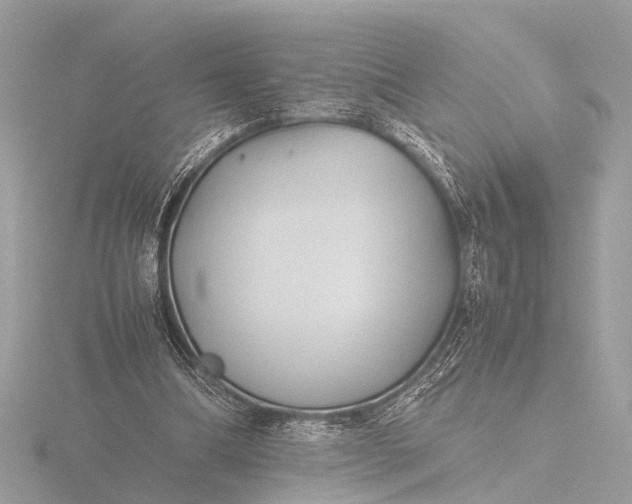 X0000116440298200912221530