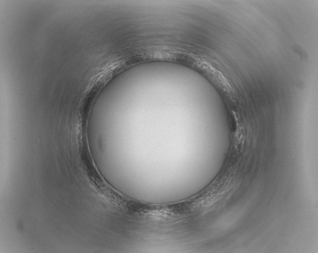 X0000116440306200912221530