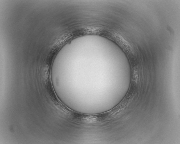 X0000116440318200912221530