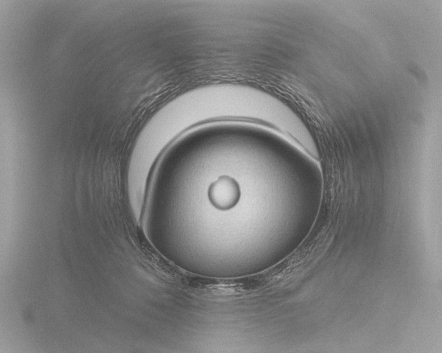 X0000116440320200912221530