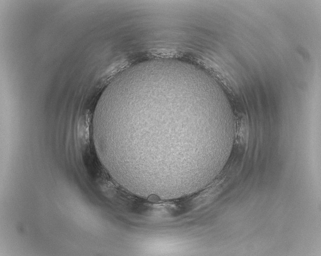 X0000116440334200912221529