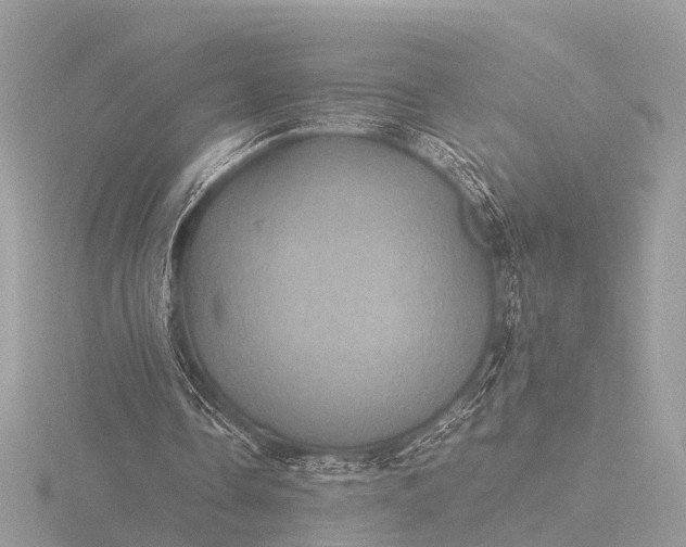 X0000116440338200912221529