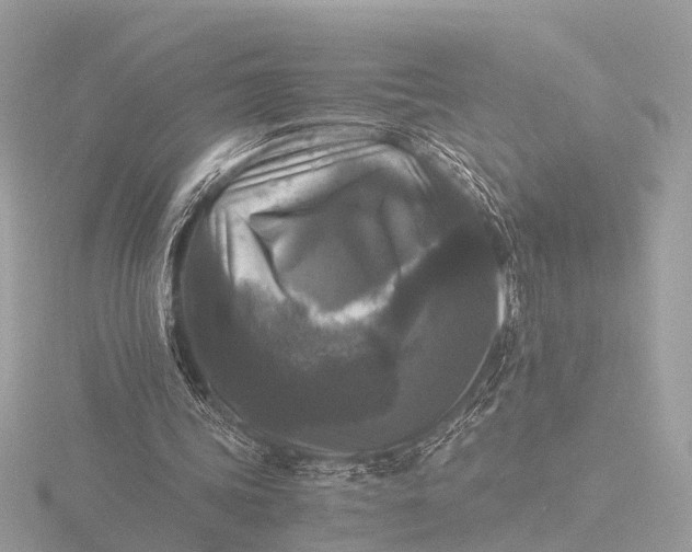 X0000116440339200912221529