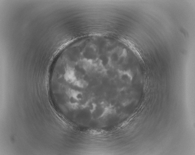 X0000116440346200912221529